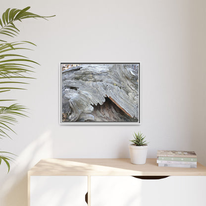 Driftwood Dreams - Unique Stretched Canvas Wall Art - Art By Earth