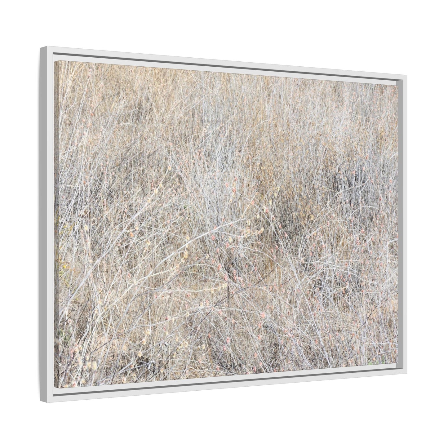 Whispers of Dry Grass - Unique Stretched Canvas Wall Art - Art By Earth