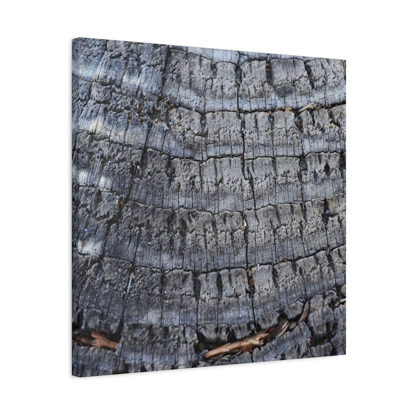 Whispers of Age - Unique Frameless Canvas Wall Art - Art By Earth