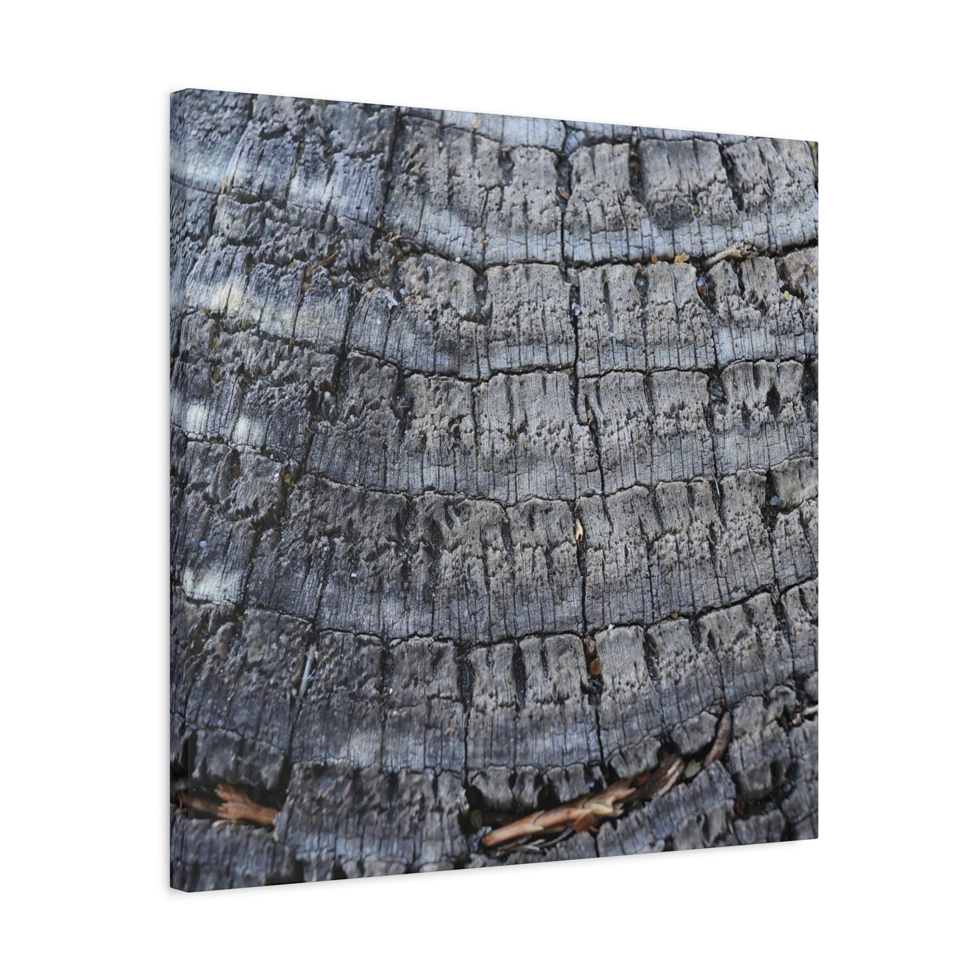 Whispers of Age - Unique Frameless Canvas Wall Art - Art By Earth