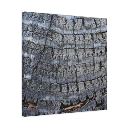 Whispers of Age - Unique Frameless Canvas Wall Art - Art By Earth