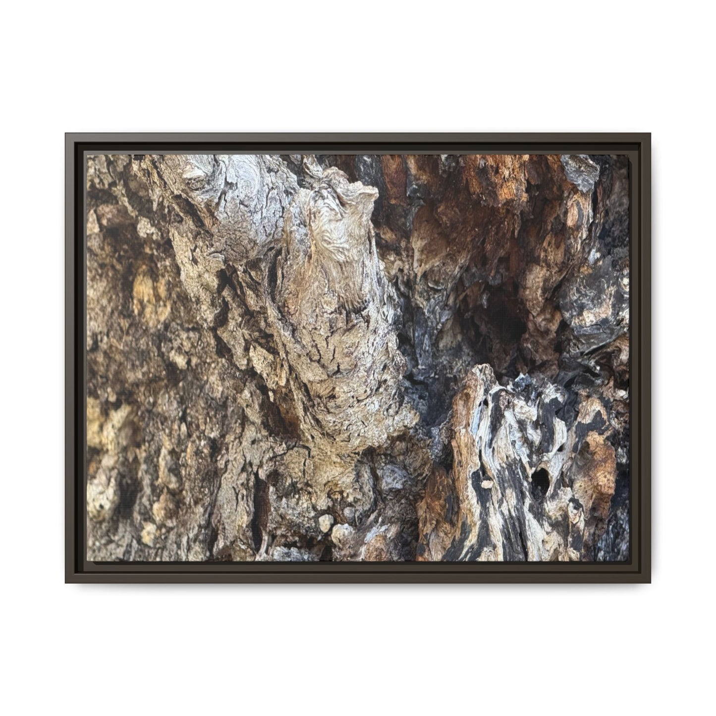 Ancient Tree Texture - Unique Stretched Canvas Wall Art - Art By Earth