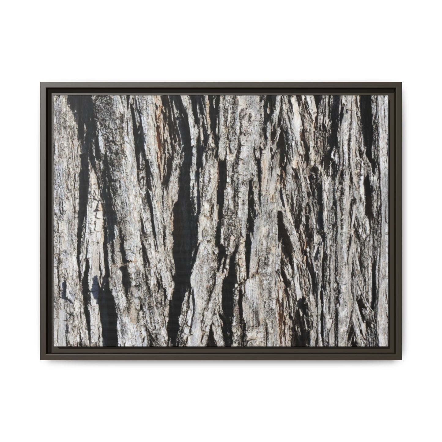 Bark Lines - Unique Stretched Canvas Wall Art - Art By Earth