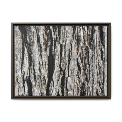 Bark Lines - Unique Stretched Canvas Wall Art - Art By Earth
