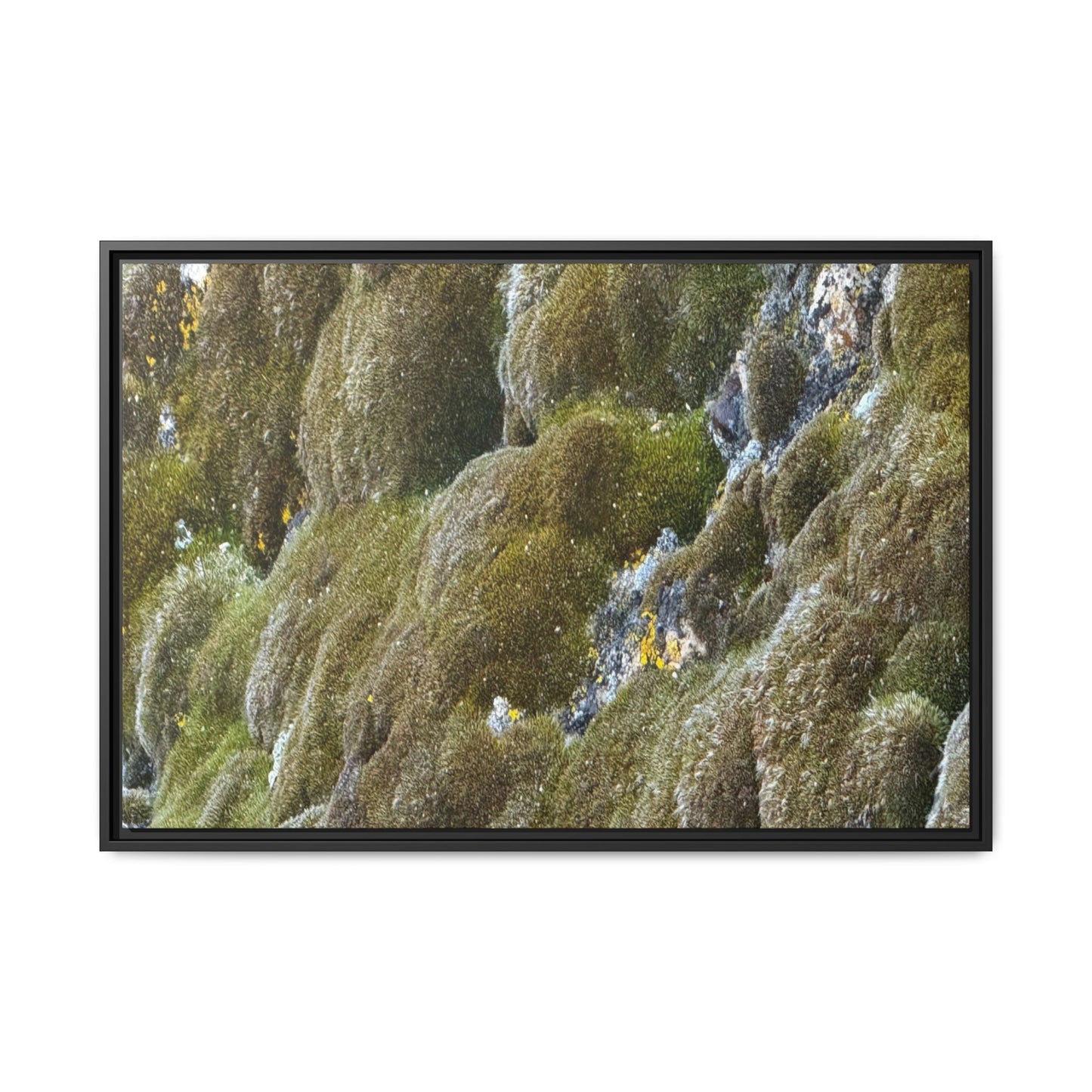 Moss Symphony - Unique Stretched Canvas Wall Art