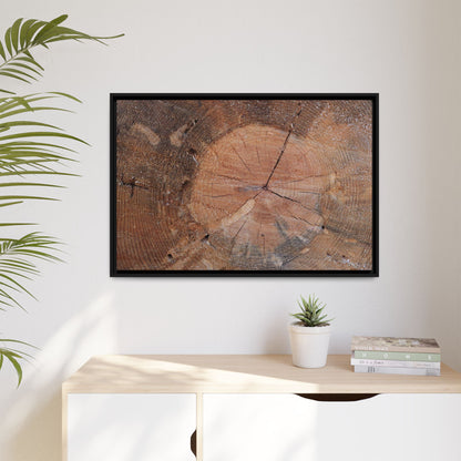 Concentric Memories - Unique Stretched Canvas Wall Art - Art By Earth
