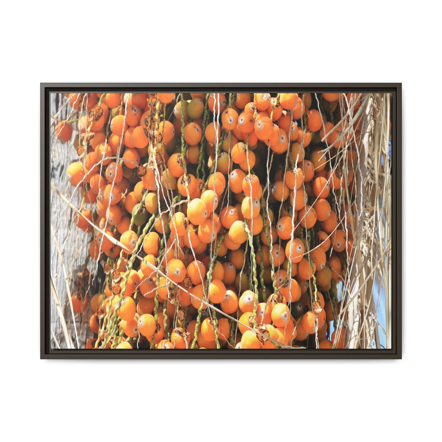 Clusters of Sunlight - Unique Canvas Wall Art - Art By Earth