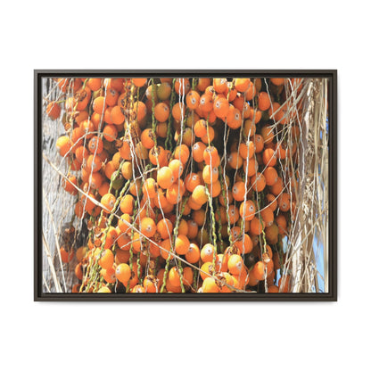 Clusters of Sunlight - Unique Canvas Wall Art - Art By Earth