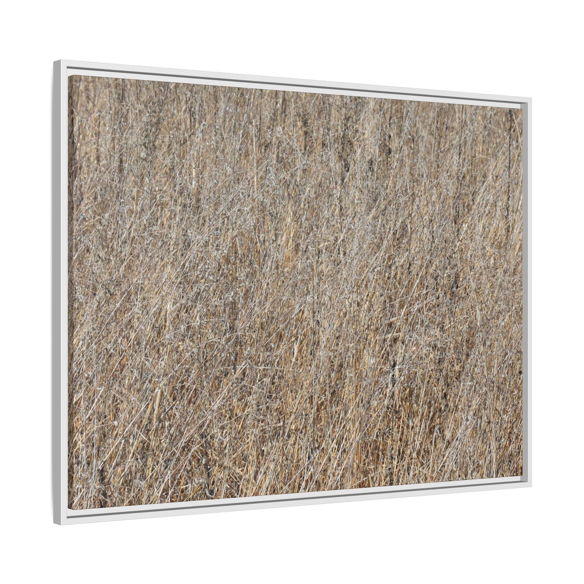 Dry Straw Symphony - Unique Stretched Canvas Wall Art - Art By Earth