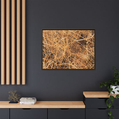 Dried Grass - Unique Stretched Canvas Wall Art - Art By Earth