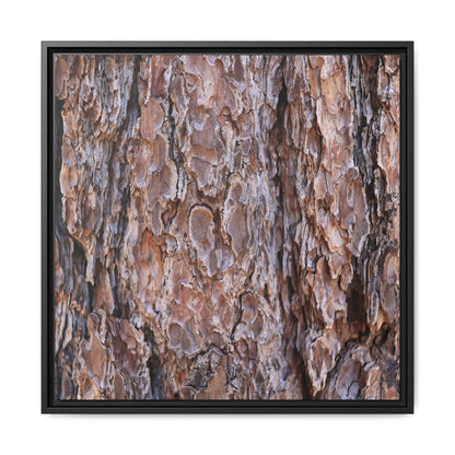 Woody Layers - Unique Stretched Canvas Wall Art - Art By Earth
