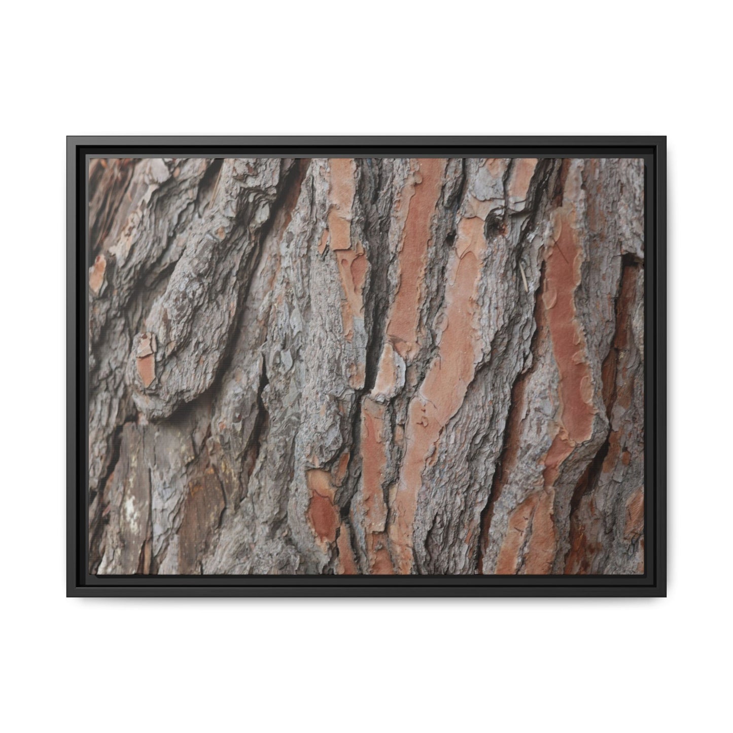 Woodland Layers - Unique Stretched Canvas Wall Art - Art By Earth