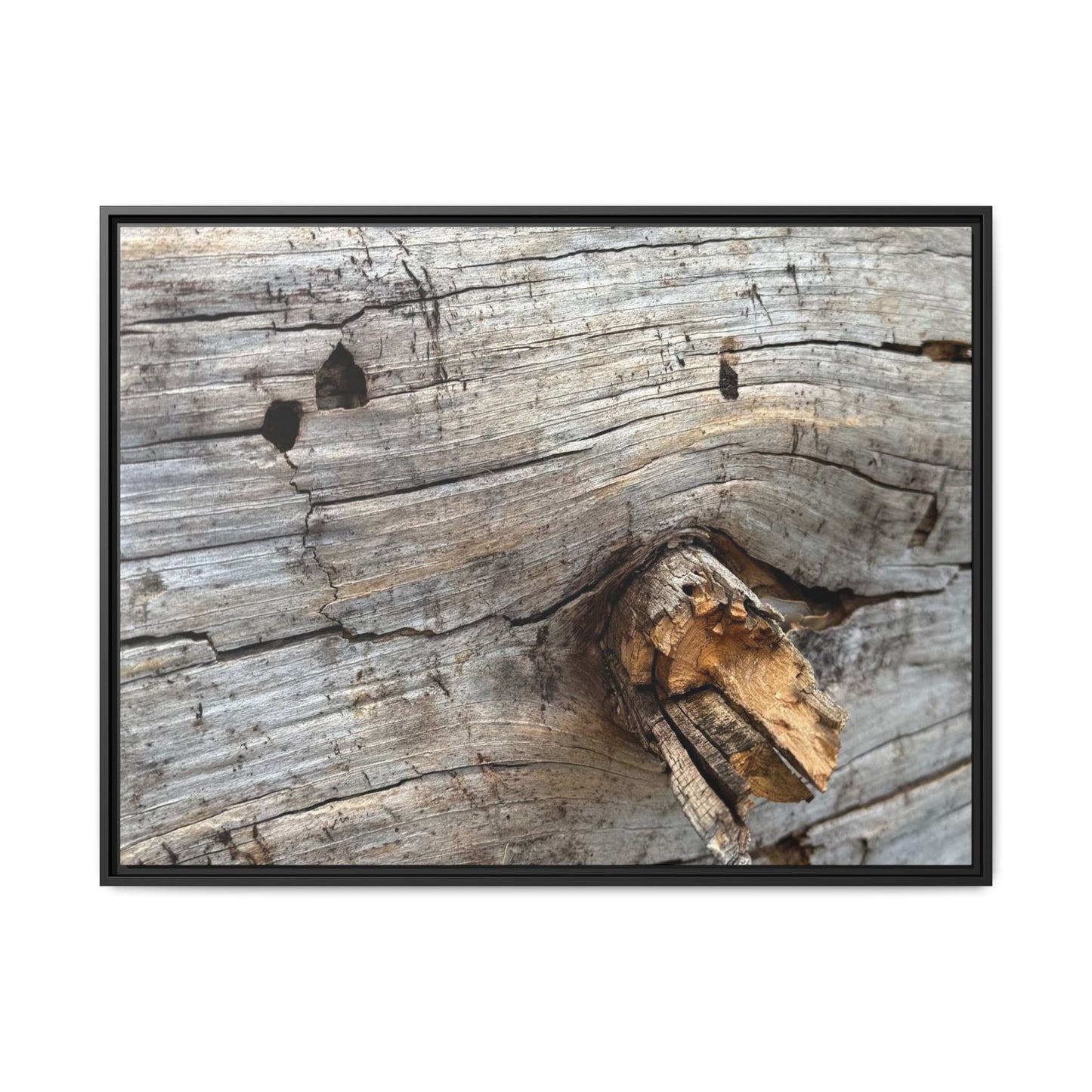 Weathered Wood Texture - Unique Stretched Canvas Wall Art - Art By Earth