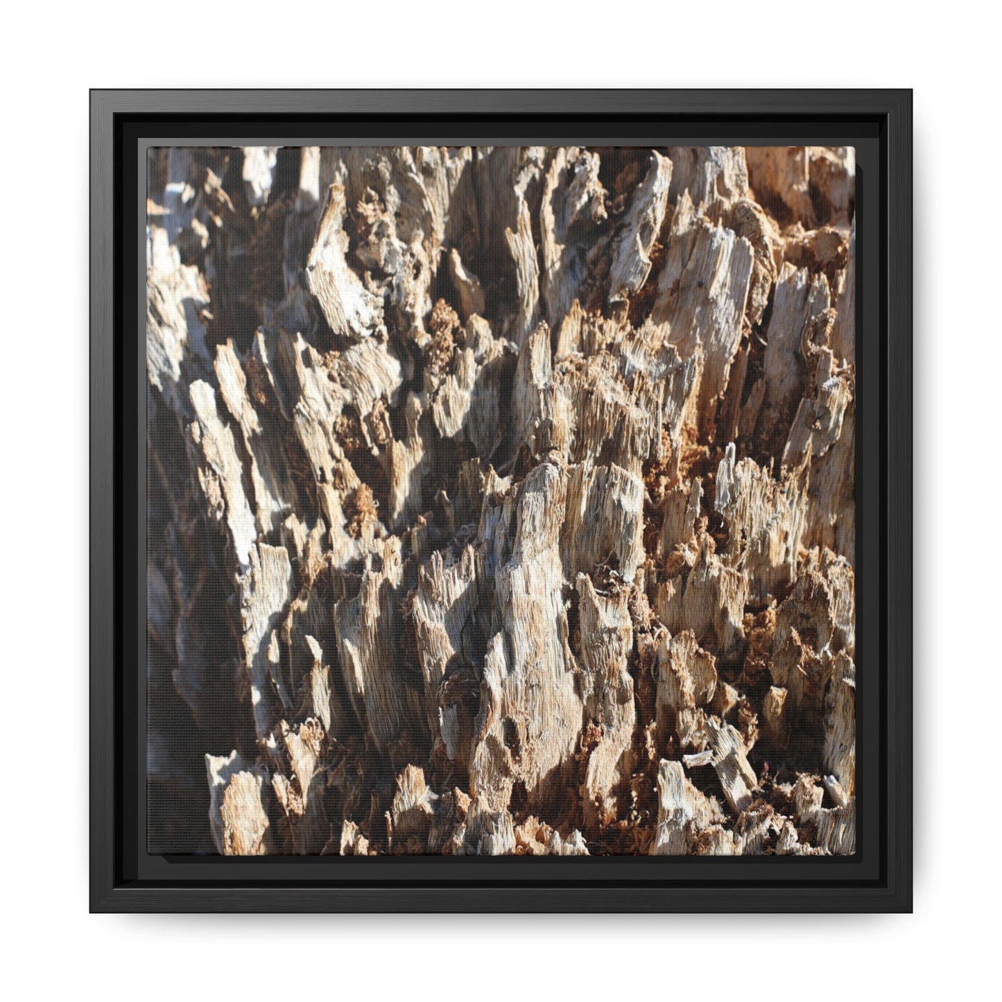 Fractal Fragments - Unique Stretched Canvas Wall Art