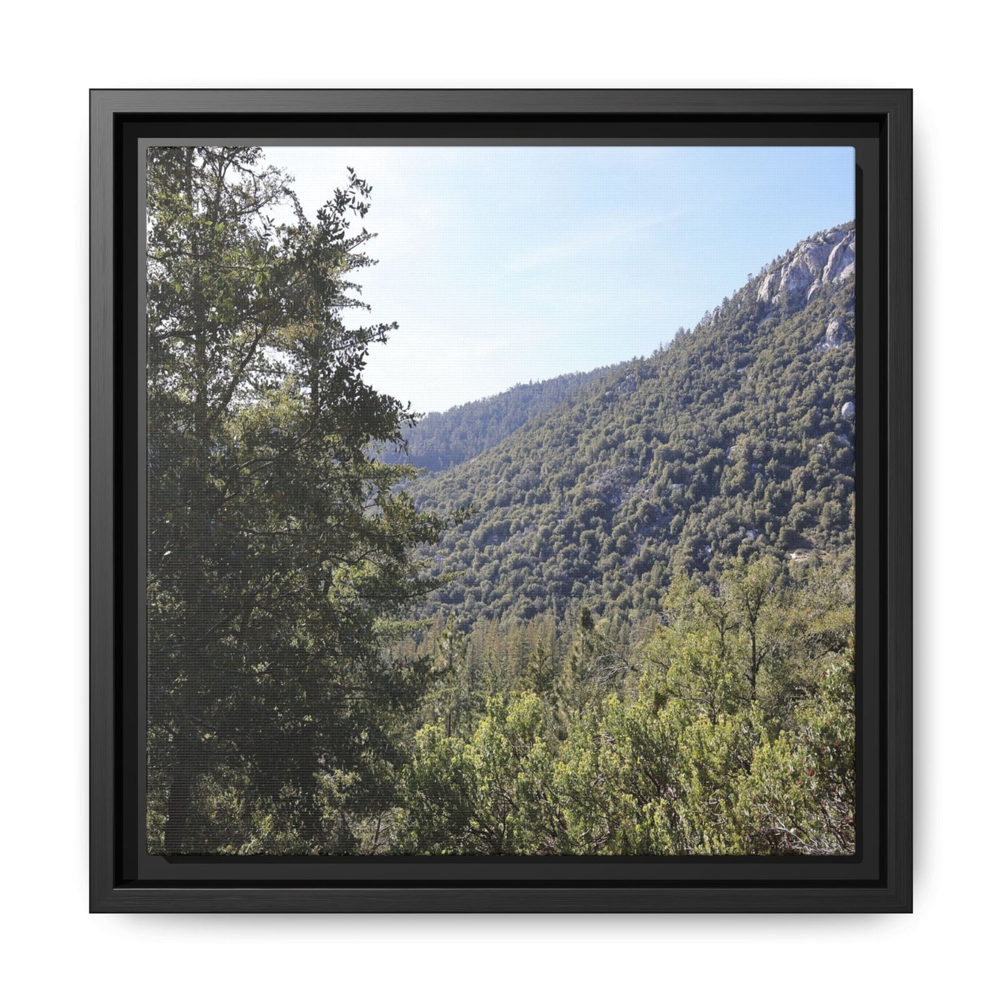Mountain Valley Forest - Unique Stretched Canvas Wall Art