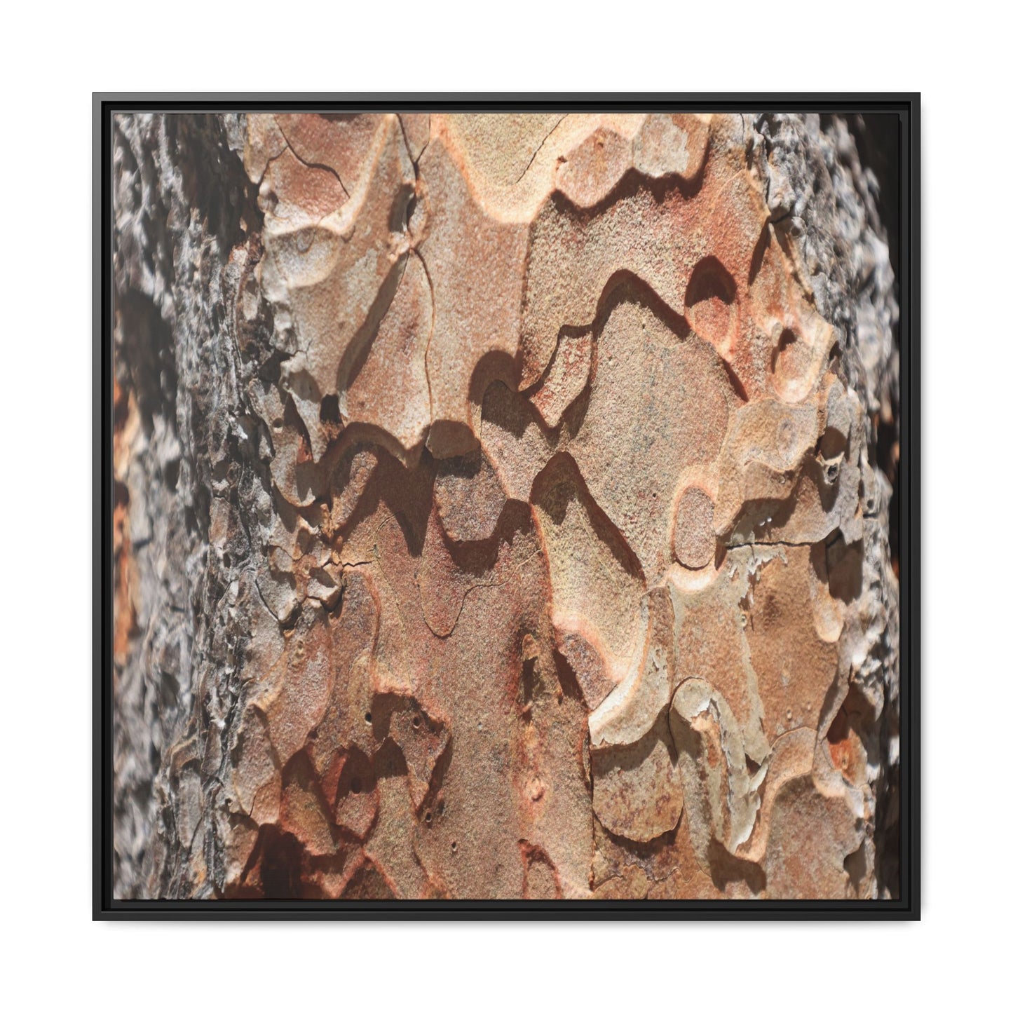 Rust and Stone - Unique Stretched Canvas Wall Art - Art By Earth