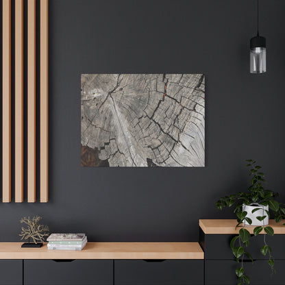 Cracked Memories - Unique Frameless Canvas Wall Art - Art By Earth