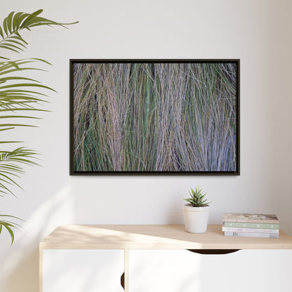 Whispers of Silver Grass - Unique Stretched Canvas Wall Art - Art By Earth