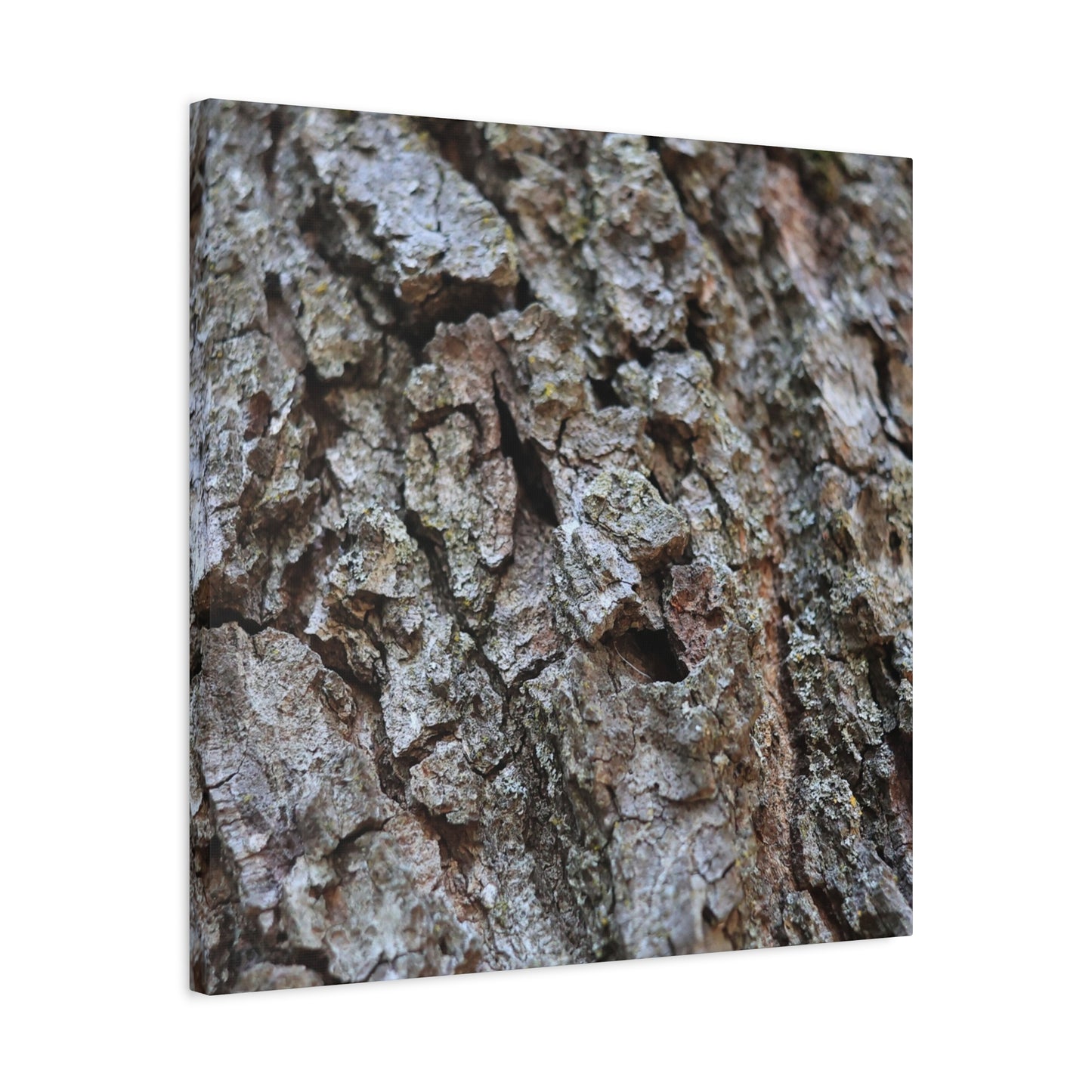 Cracked Echoes - Unique Frameless Canvas Wall Art - Art By Earth