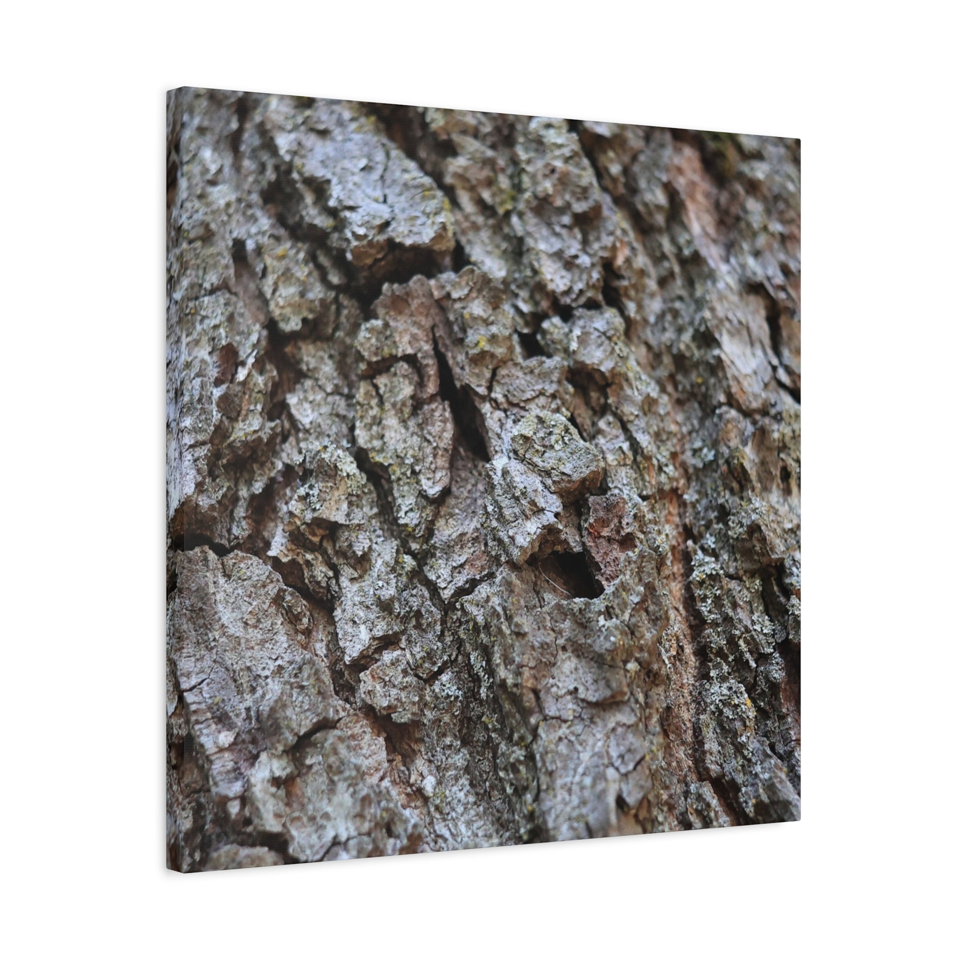 Cracked Echoes - Unique Frameless Canvas Wall Art - Art By Earth