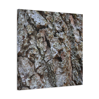 Cracked Echoes - Unique Frameless Canvas Wall Art - Art By Earth