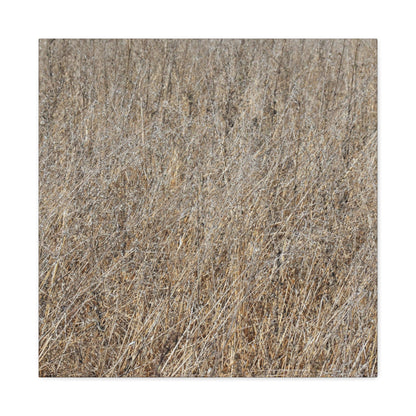 Silent Prairie - Unique Frameless Canvas Wall Art - Art By Earth