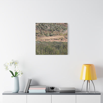 Ancient Dwellings in the Desert Valley - Unique Frameless Canvas Wall Art - Art By Earth