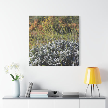 Desert Wildflowers in Bloom - Unique Frameless Canvas Wall Art - Art By Earth