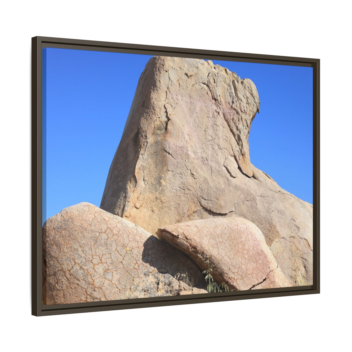 Rocky Sentinel - Unique Stretched Canvas Wall Art - Art By Earth