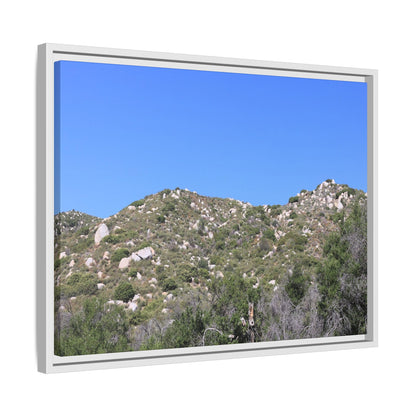 Sparse Vegetation - Unique Stretched Canvas Wall Art