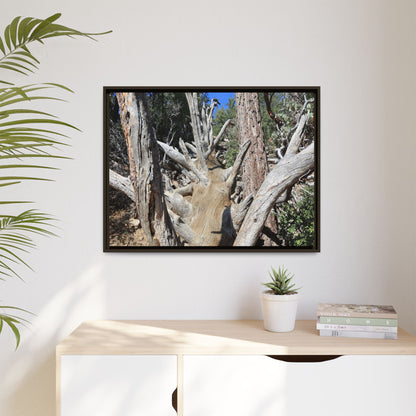 Forest Sentinels - Unique Stretched Canvas Wall Art