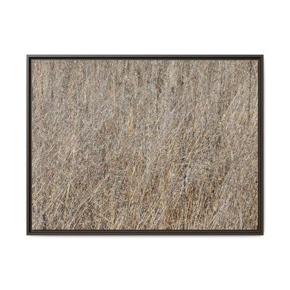 Whispers of Straw - Unique Stretched Canvas Wall Art - Art By Earth