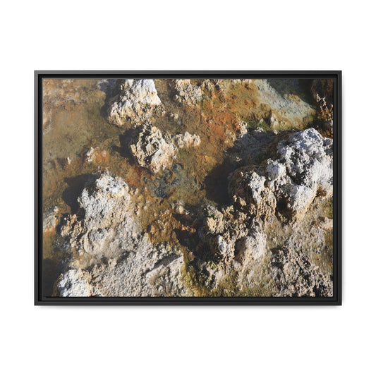Textural Metamorphosis - Unique Stretched Canvas Wall Art