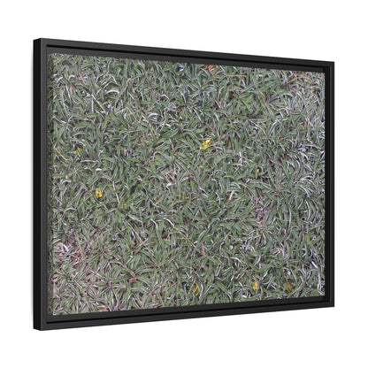 Grassy Texture - Unique Stretched Canvas Wall Art - Art By Earth