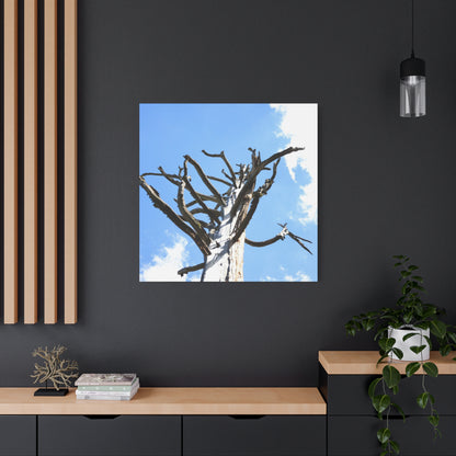 Skeletal Branches Reaching - Unique Frameless Canvas Wall Art - Art By Earth