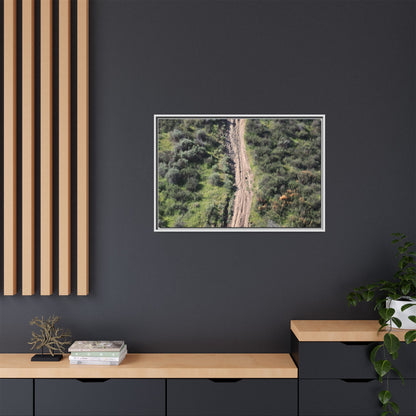Desert Path Through Sage - Unique Stretched Canvas Wall Art - Art By Earth