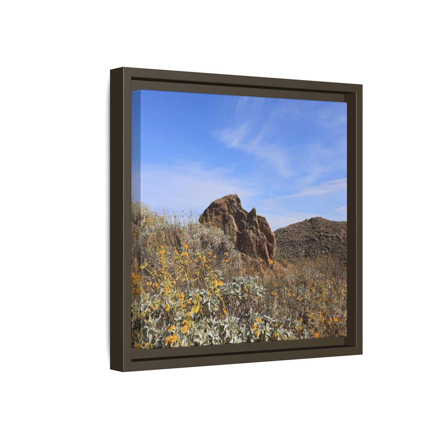 Golden Flowers in Arid Landscape - Unique Stretched Canvas Wall Art - Art By Earth