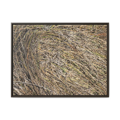 Tangled Grass Symphony - Unique Stretched Canvas Wall Art - Art By Earth