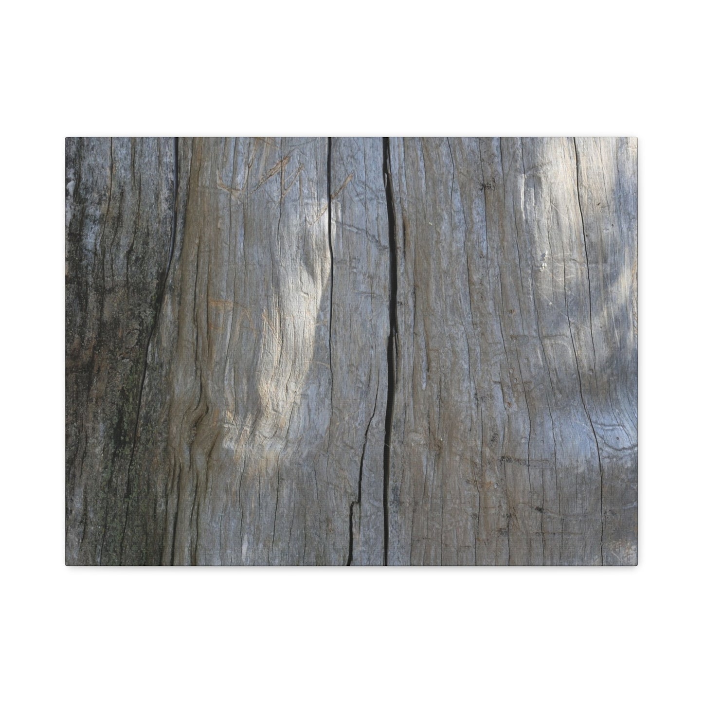 Split Log - Unique Frameless Canvas Wall Art