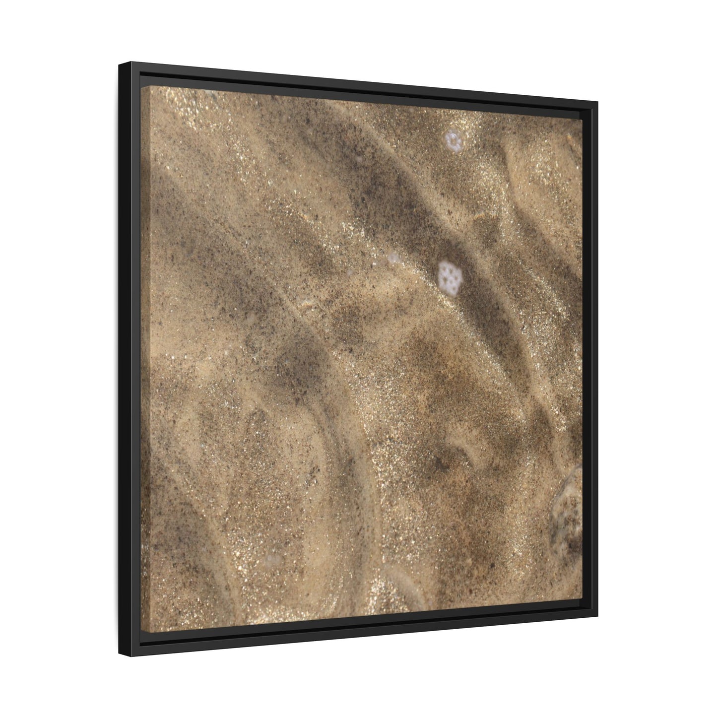Underwater Sand Exploration - Unique Stretched Canvas Wall Art - Art By Earth