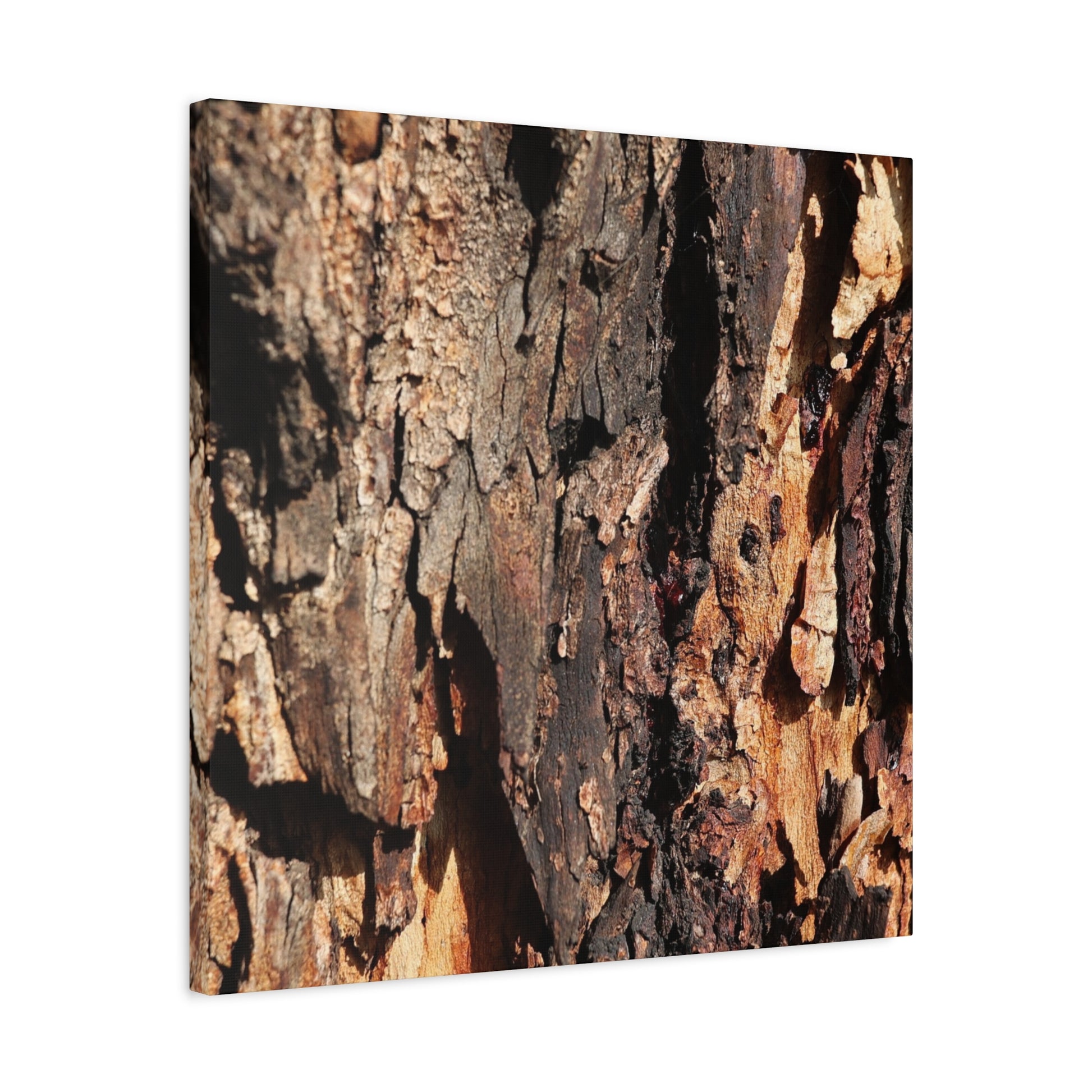 Wooden Terrain - Unique Frameless Canvas Wall Art - Art By Earth