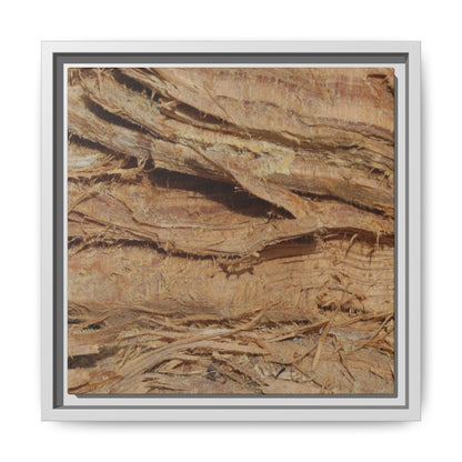 Splintered Bark - Unique Stretched Canvas Wall Art - Art By Earth