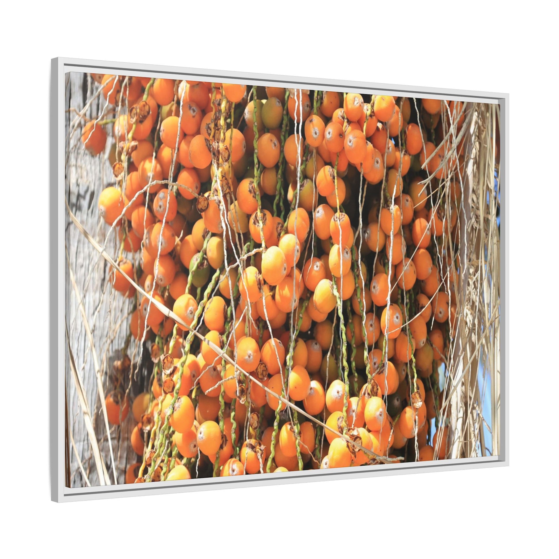 Clusters of Sunlight - Unique Canvas Wall Art - Art By Earth