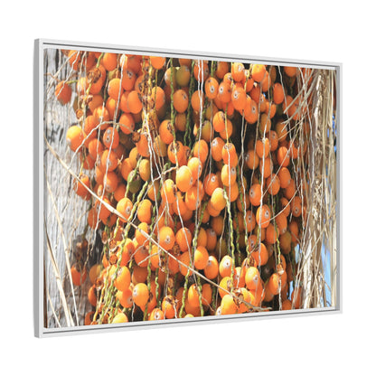 Clusters of Sunlight - Unique Canvas Wall Art - Art By Earth