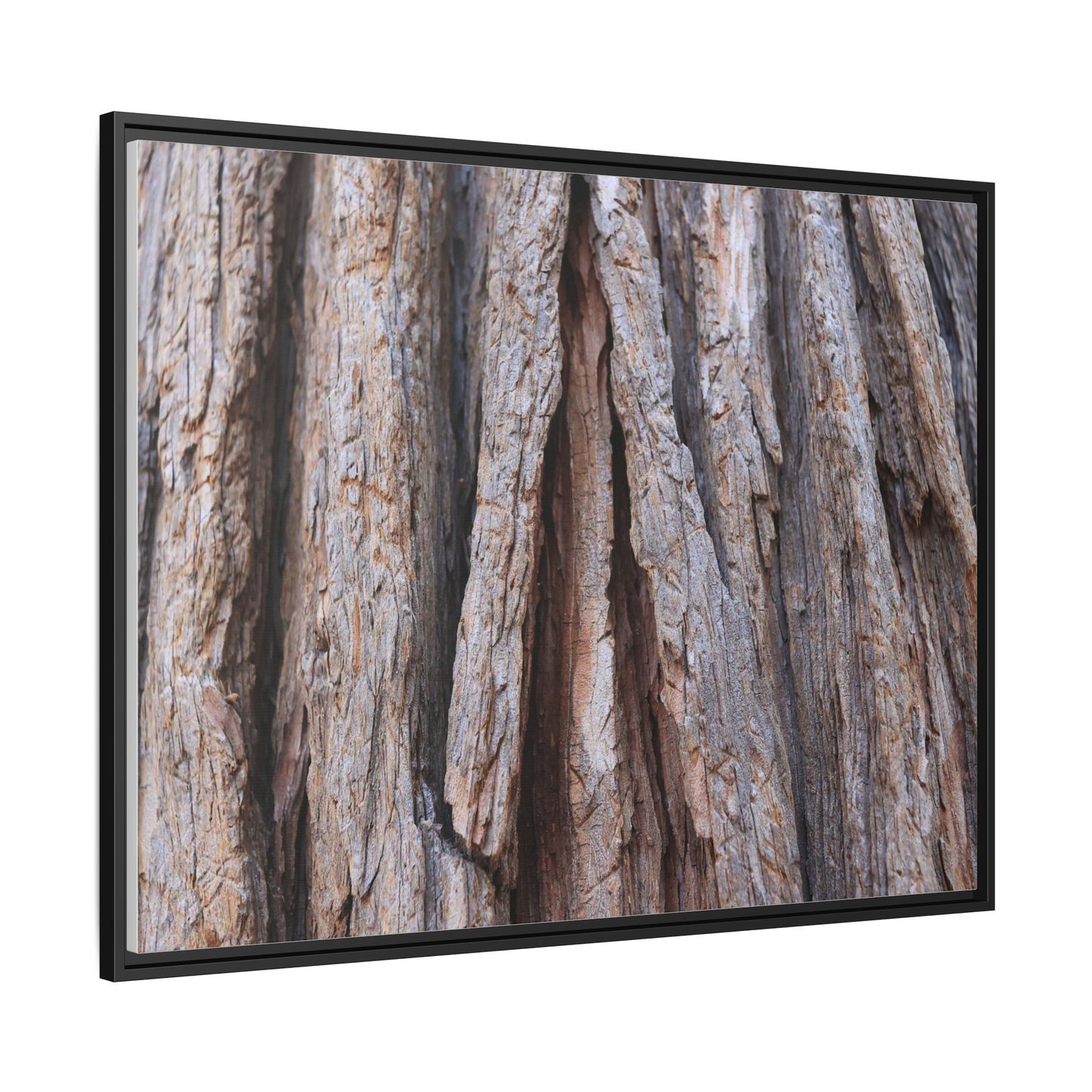 Nature's Sculpture - Unique Stretched Canvas Wall Art - Art By Earth