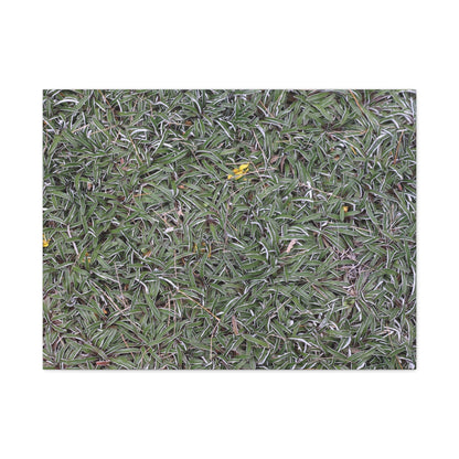 Tangled Memories - Unique Frameless Canvas Wall Art - Art By Earth