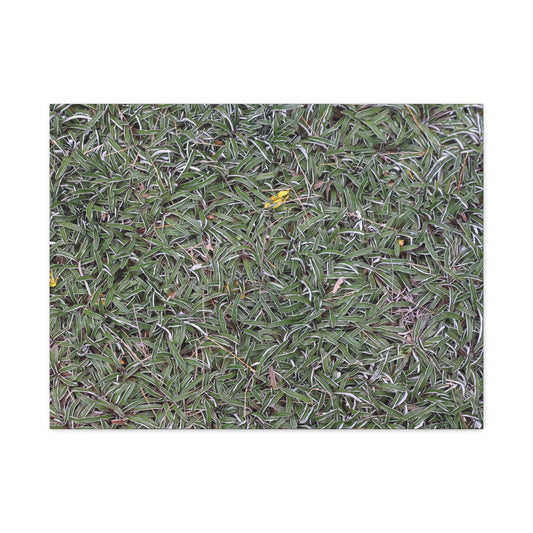 Tangled Memories - Unique Frameless Canvas Wall Art - Art By Earth