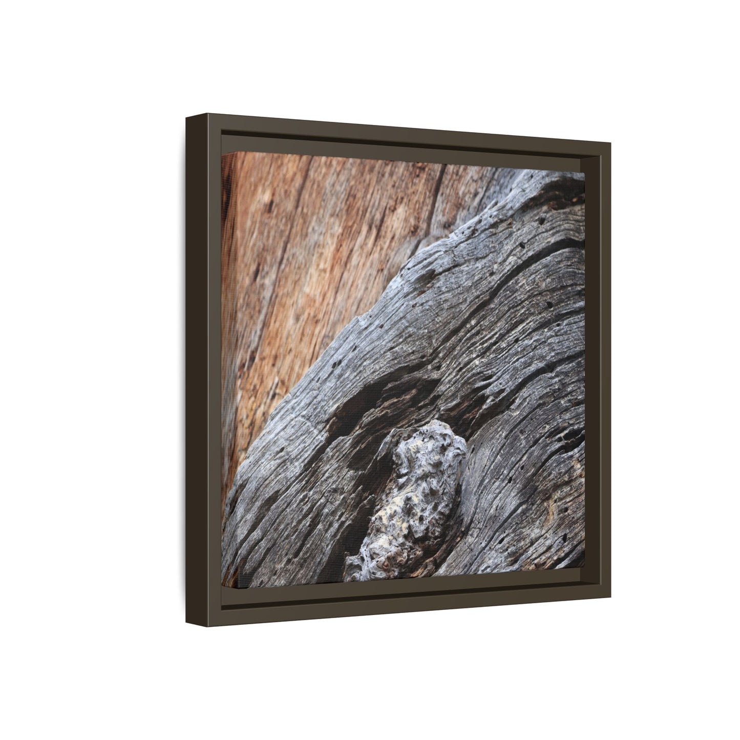 Time's Mark on Timber - Unique Stretched Canvas Wall Art - Art By Earth