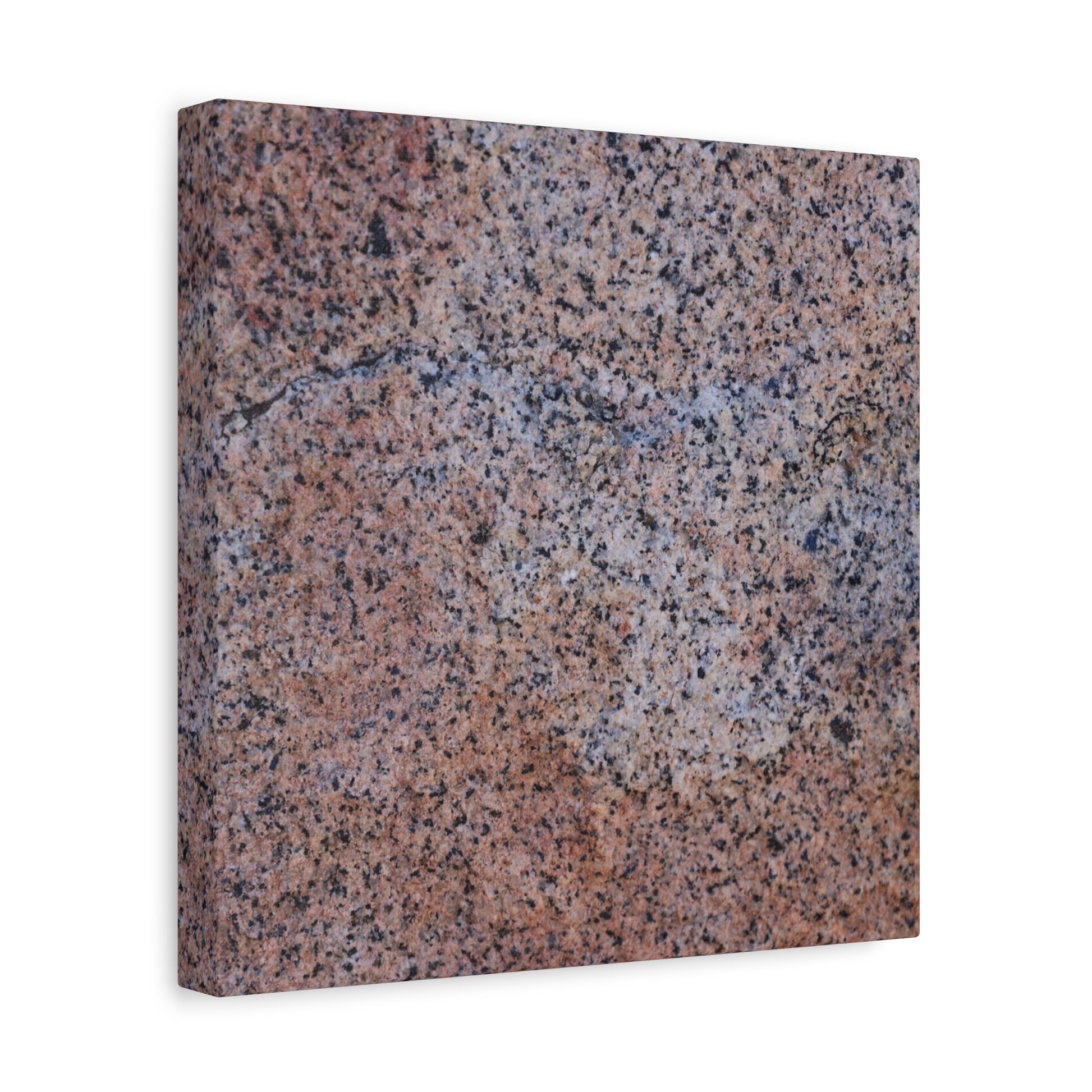 Granular Symphony - Unique Frameless Canvas Wall Art - Art By Earth