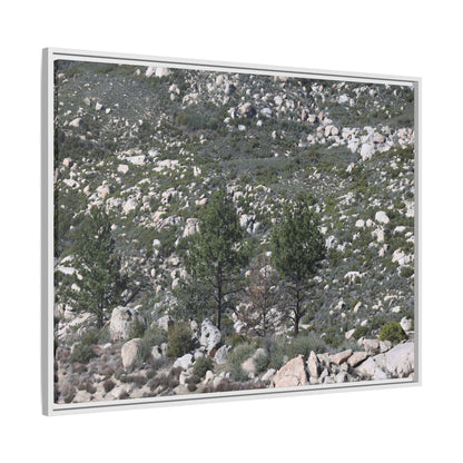 Rocky Hillside with Pine Trees - Unique Stretched Canvas Wall Art - Art By Earth